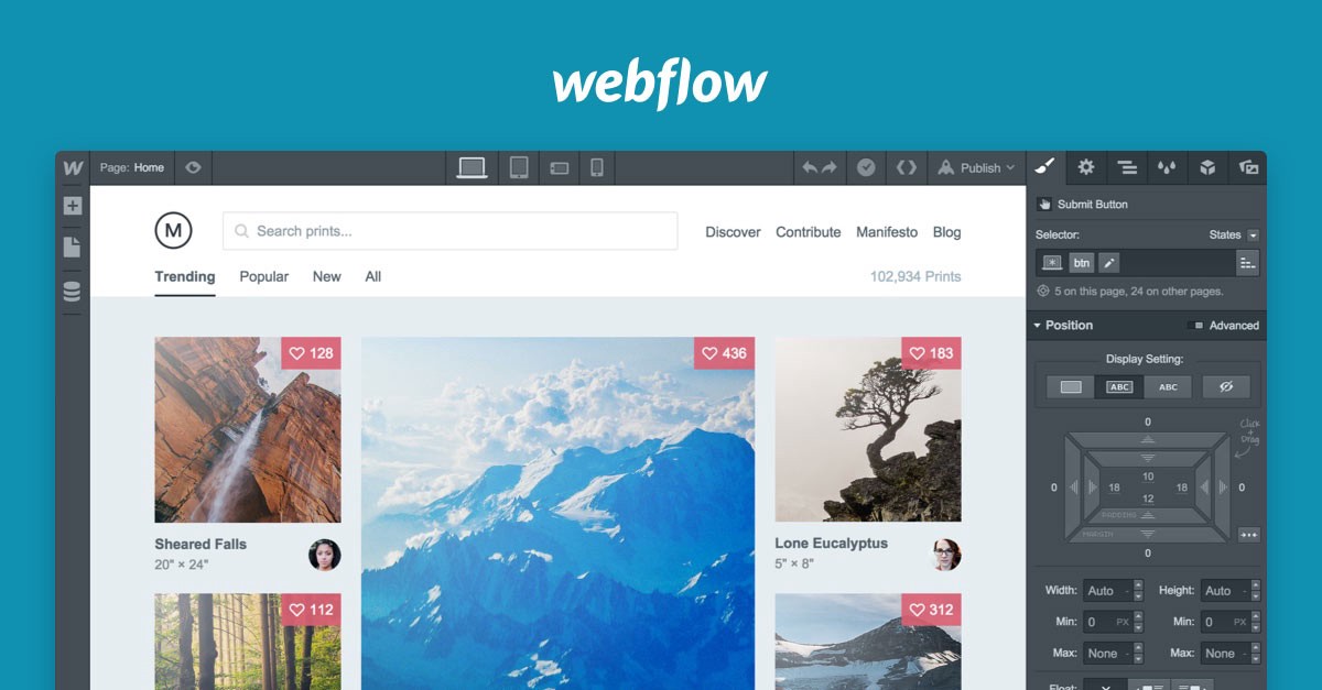 webflow brasil